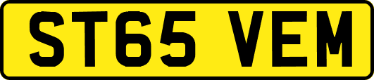 ST65VEM