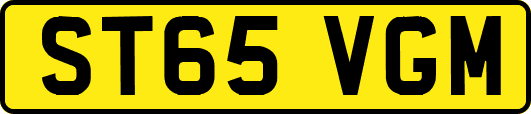 ST65VGM