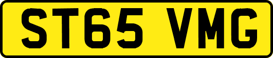 ST65VMG