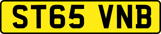 ST65VNB