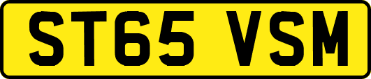 ST65VSM
