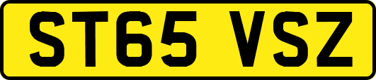 ST65VSZ
