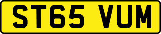 ST65VUM