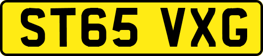 ST65VXG