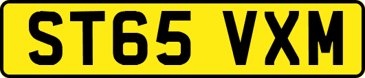 ST65VXM