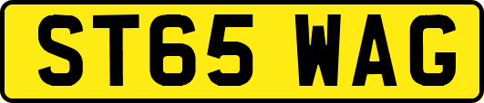 ST65WAG
