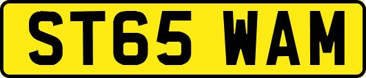 ST65WAM