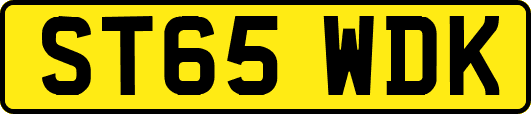 ST65WDK
