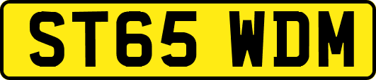 ST65WDM