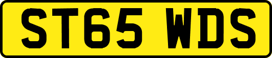 ST65WDS