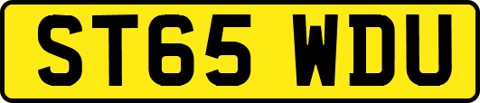 ST65WDU