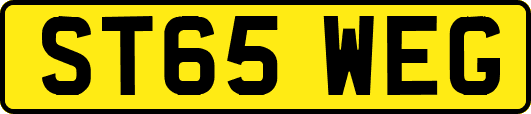 ST65WEG