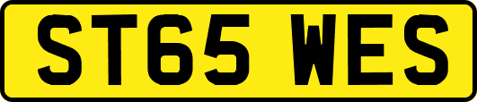 ST65WES