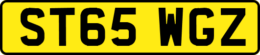 ST65WGZ