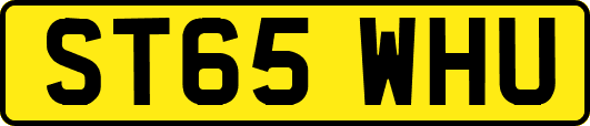 ST65WHU