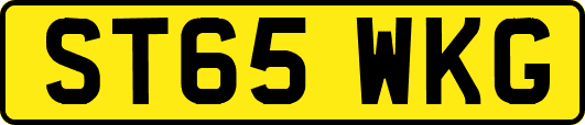 ST65WKG