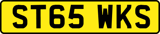 ST65WKS