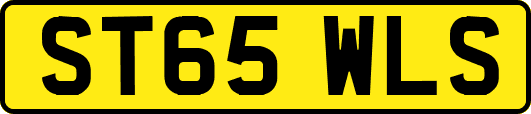 ST65WLS
