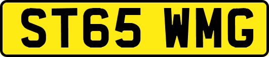 ST65WMG
