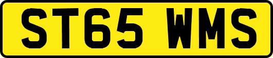 ST65WMS