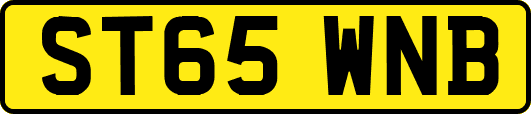 ST65WNB