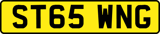 ST65WNG