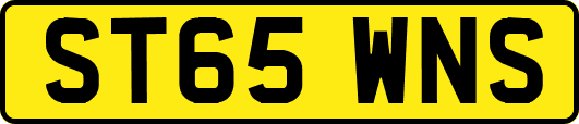 ST65WNS