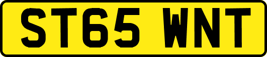 ST65WNT