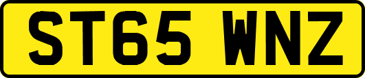 ST65WNZ