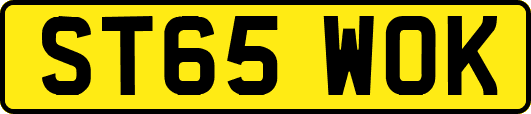 ST65WOK