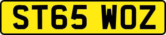 ST65WOZ