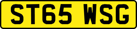 ST65WSG