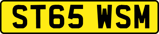 ST65WSM