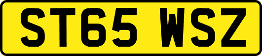 ST65WSZ