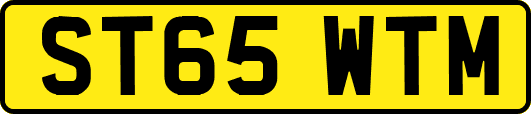 ST65WTM