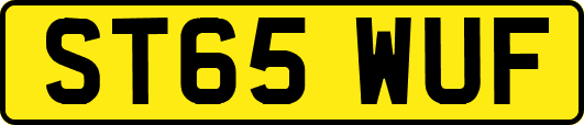 ST65WUF
