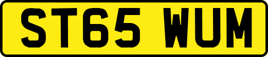 ST65WUM