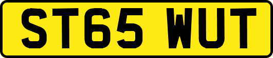 ST65WUT