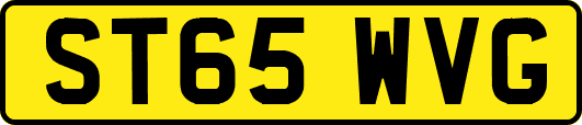 ST65WVG