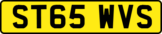 ST65WVS