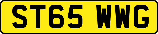 ST65WWG