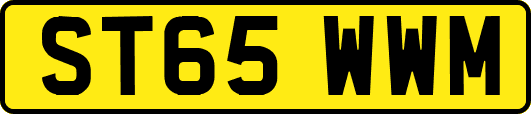 ST65WWM