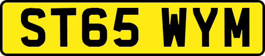 ST65WYM
