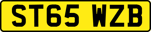 ST65WZB
