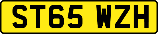 ST65WZH