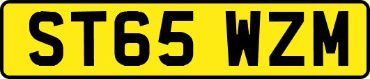 ST65WZM