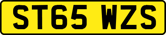 ST65WZS