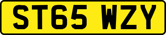 ST65WZY
