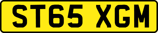 ST65XGM
