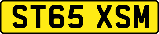 ST65XSM